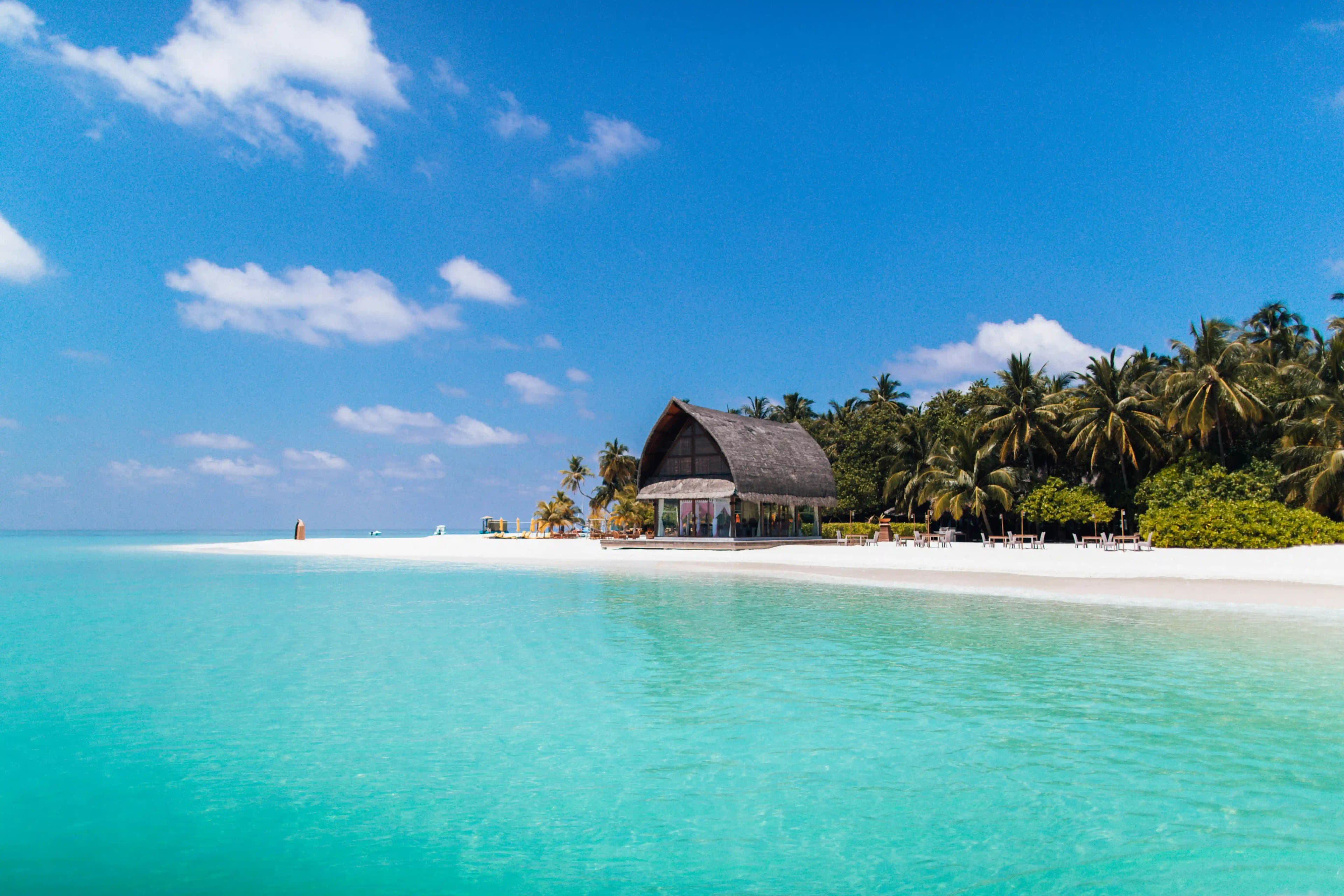 Tropical beach with palm trees and clear blue water